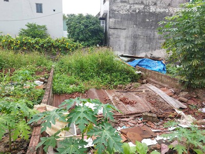 Bán đất bắc hổng, đông anh, 49m2, mt4.4m, ô tô 4 chỗ, gần phố, tiện ích, 3.65 tỷ. 1