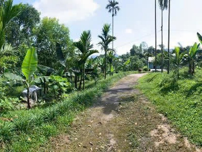 Siêu phẩm đất vườn 2 mặt tiền tại liên sơn, lương sơn, hoà bình 3