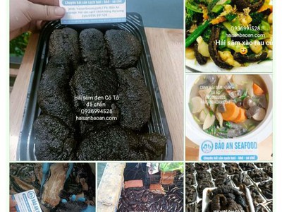 Báo giá hải sâm tươi ngon vip chuẩn 0