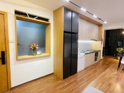 Chính chủ gửi bán căn hộ chung cư a4 đền lừ viuu triệu đô 65m 4.45 tỉ 1