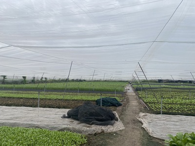Củ chi: bán gấp 2666m  đất  ful thổ cư đường hồ văn tắng, shr, giá tốt 54 tỷ. 1