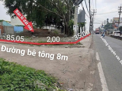 Siêu vị trí    33x77  mt nguyễn văn bứa   dt 2.500m    giá chỉ 11,5tr/m 3