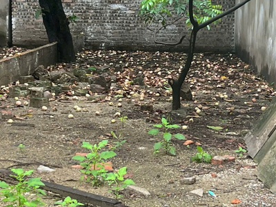 bán đất ngô gia tự   long biên  1