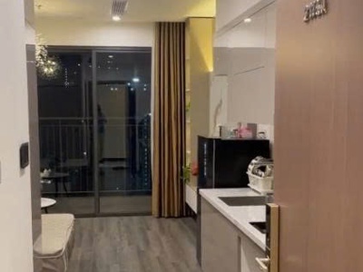Chính chủ cần cho thuê căn hộ studio phân khu cao cấp the zenpark - vinhomes ocean park 1, gia 0