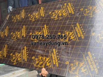 Tìm đại lý phân phối ván ép phủ phim 4m lợn rừng tại Lâm ĐỒng, Dak Noog, Bình Thuận 1