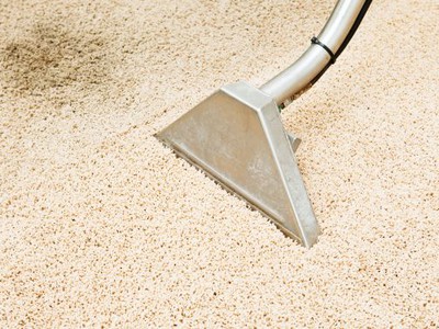 Bạn có biết  Thảm trải sàn bẩn có thể âm thầm  gieo mầm bệnh  trong nhà 0
