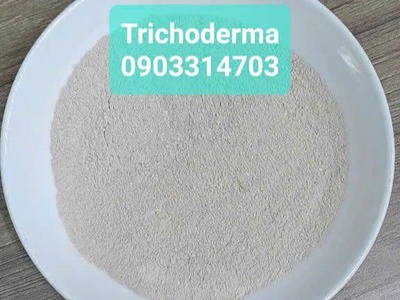 Trichoderma -siêu nấm phân hủy - Gói 1 kg -Hàng sẵn kho 0