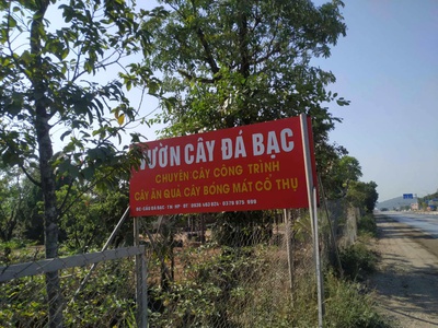 Mặt Đường Ql10, Gia Minh, 100m2, Ngang 5m, Giá 1,7x tỷ  lô 34 2
