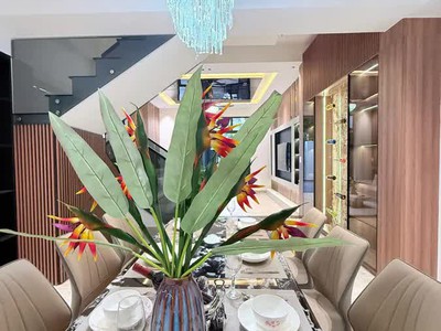 Nhà đẹp Trần Kim Xuyến, Cẩm Lệ Đà Nẵng - giá đầu tư 6
