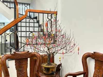 Nhà 3 Tầng Chính Chủ Cần Bán Gấp Tại Đường Trần Hưng Đạo, Phường Đống Đa, TP. Quy Nhơn. 2