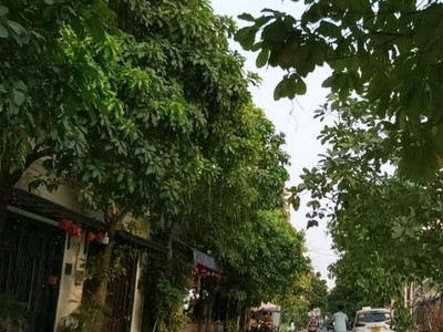 Bán nhà gò vấp, hẻm xe hơi lê đức thọ, 76m , 5 tầng, 5pn, nhà đẹp ở ngay, chỉ 8.9 tỷ tl 0