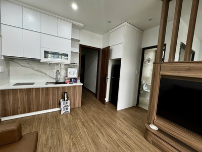 Căn hộ 1 ngủ mới hoàn thiện cho thuê tại Vinhomes Marina 2