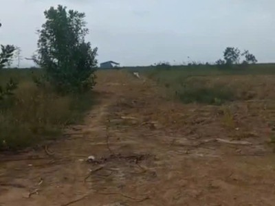 Cần bán đất 80 mẫu tại vĩnh cửu đồng nai  giá cả thương lượng với khách hàng có nhu cầu 0