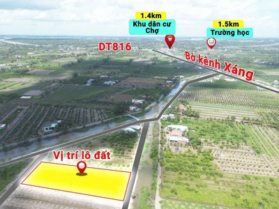 Bán 1.000m2 mặt tiền kênh ba ràng 1