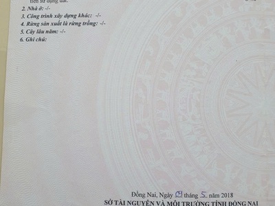 Đất đẹp - đầu tư sinh lời - chính chủ kẹt tiền cần bán gấp lô đất tại nhơn trạch, đồng nai 1