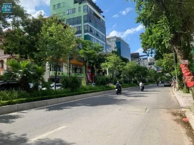 Bán đất lạc long quân 215m - oto vào - 20m ra mặt phố - chỉ hơn 40 tỷ 0