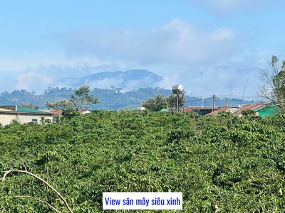 Chỉ còn duy nhất 3 lô 1000m2 sẵn 100m2 thổ cư view hồ mặt tiền đường bê tông ôtô tới đất view 4
