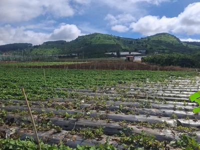 Giá 1 tỷ 080 triệu - lô đất đẹp an ninh, xã liên hiệp, đức trọng, lâm đồng 1