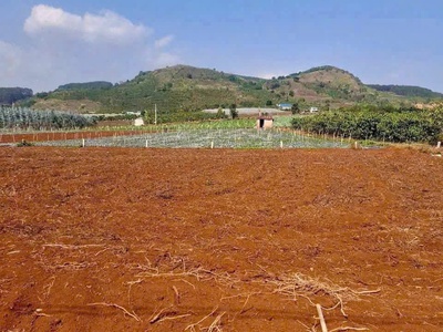 Giá 1 tỷ 080 triệu - lô đất đẹp an ninh, xã liên hiệp, đức trọng, lâm đồng 2