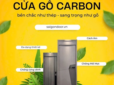Cửa nhưa Carbon 1