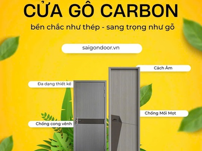 Cửa nhưa Carbon 2