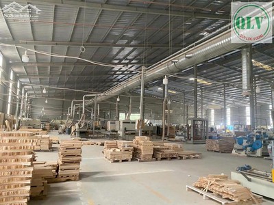 Cho Thuê Nhà Xưởng Diện Tích 8.900m2 Có Sẵn Dây Chuyền Sản Xuất ở Tân Vĩnh Hiệp,Tân Uyên, BD. 0