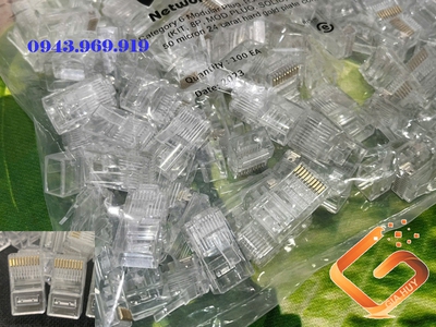 Hạt mạng RJ50 RJ48  Đầu bấm mạng 10 chân CONNECTOR RJ50 1