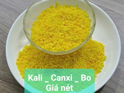 Phân bón trung vi lưỡng Kali- Canxi-bo. Hạt vàng tan nhanh 100 0