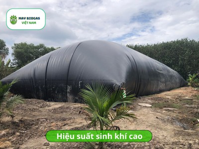 Bể Bạt HDPE 0.75mm Nuôi Tôm, Cá, Ốc, Ếch 1