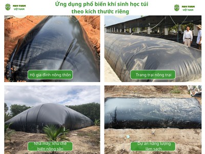 Bể Bạt HDPE 0.75mm Nuôi Tôm, Cá, Ốc, Ếch 2