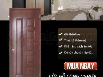 Cửa gỗ công nghiệp HDF giải pháp hoàn hảo cho không gian hiện đại 2