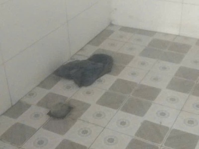 Chính chủ cần bán nhà mới xây vị trí đẹp tại đồng nai 3