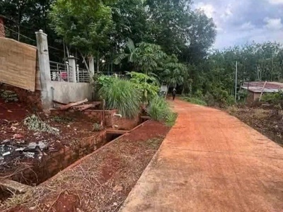 Chính chủ cần bán đất ấp xa cát, xã thanh bình, huyện hớn quản, bình phước 0