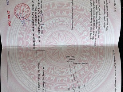 Đất đẹp - giá tốt - chính chủ cần bán 5 lô đất liền kề tại phú riềng, bình phước 4