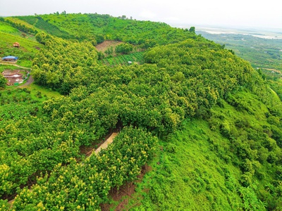 Săn ngay mảnh đất vườn View Hồ Trị An tại Xã La Ngà, Huyện Định Quán, Đồng Nai 4