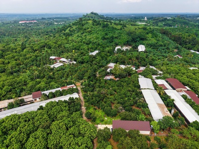 Chính chủ cần bán lô đất vườn tọa lạc tại Quang Trung - Thống Nhất, Đồng Nai. Diện tích 1000m2. 3