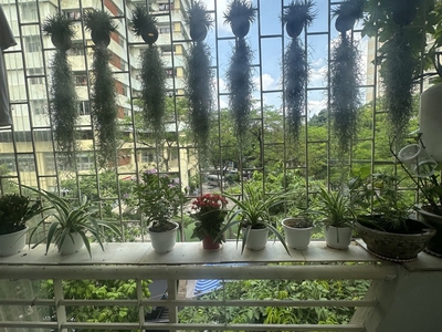 Căn hộ toà n11b trần quý kiên, cầu giấy: 87m2, 6.6 tỷ, 3 ngủ 2wc 2