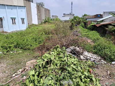 Giảm 1tỷ  đất 1500m2, nở hậu, đ.6m   thạnh xuân 52 q12 sss 1
