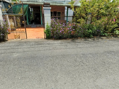 Chính Chủ Bán Nhà Đất 722,8m2 Mặt Tiền Đường Nhựa Lê Hồng Phong Tại Thị Trấn Lai Vung, Đồng Tháp. 2