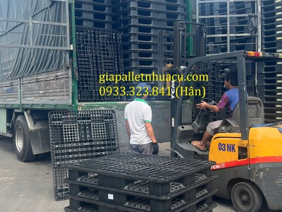 Bán Pallet Nhựa Cũ Tại Bình Dương Giá Rẻ Nhất Năm 2025  0