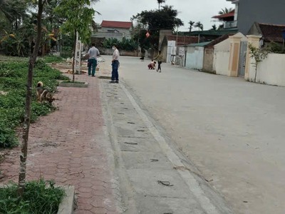 Hott hott - đất đẹp   giá tốt    chính chủ cần bán nhanh 3 lô đất đẹp tại thanh hóa. 0