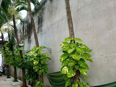 Do thay đổi chỗ ở chủ cần bán nhà ngay trung tâm phước bửu nhà mới xây kiên 3