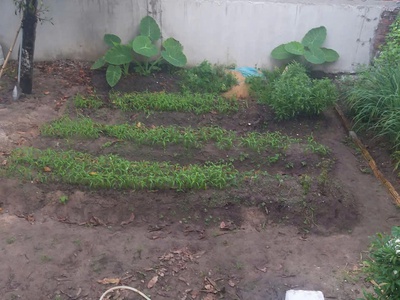 Do thay đổi chỗ ở chủ cần bán nhà ngay trung tâm phước bửu nhà mới xây kiên 4