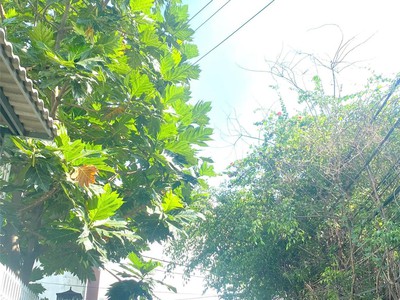 Bán nhà 1 trệt 1 lửng full nội thất   giá chỉ 5 tỷ 250 triệu   hẻm 160 - trục đường chính lã xuân 3