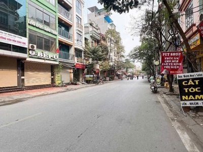 Siêu mặt phố chiến thắng  nguyễn trãi trung tâm  thanh xuân - hà đông kinh doanh đỉnh - khung cột 1