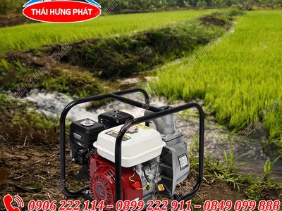Giới thiệu 3 dòng máy bơm nước đồng ruộng chạy xăng tốt nhất 0