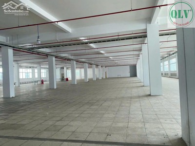 Cần Bán Nhà Xưởng Mới Xây Tại Kcn Việt Hương 1, Thuận An, Bình Dương Diện Tích Sử Dụng 31.488M 1