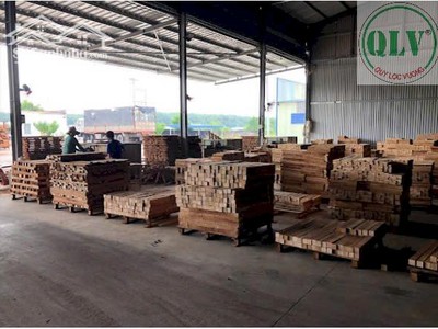 Cho Thuê Nhà Xưởng Full Máy Móc Khuôn Viên 18.000m2 Tại An Long, Phú Giáo, BD 2