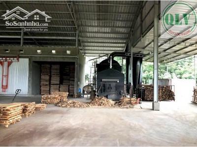 Cho Thuê Nhà Xưởng Full Máy Móc Khuôn Viên 18.000m2 Tại An Long, Phú Giáo, BD 3