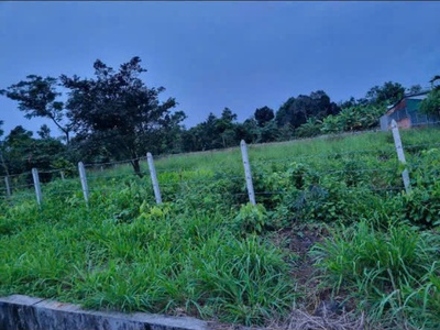 Cho thuê hoăc bán đất 1.700m    vị trí đẹp, thành nhất, buôn ma thuột 0